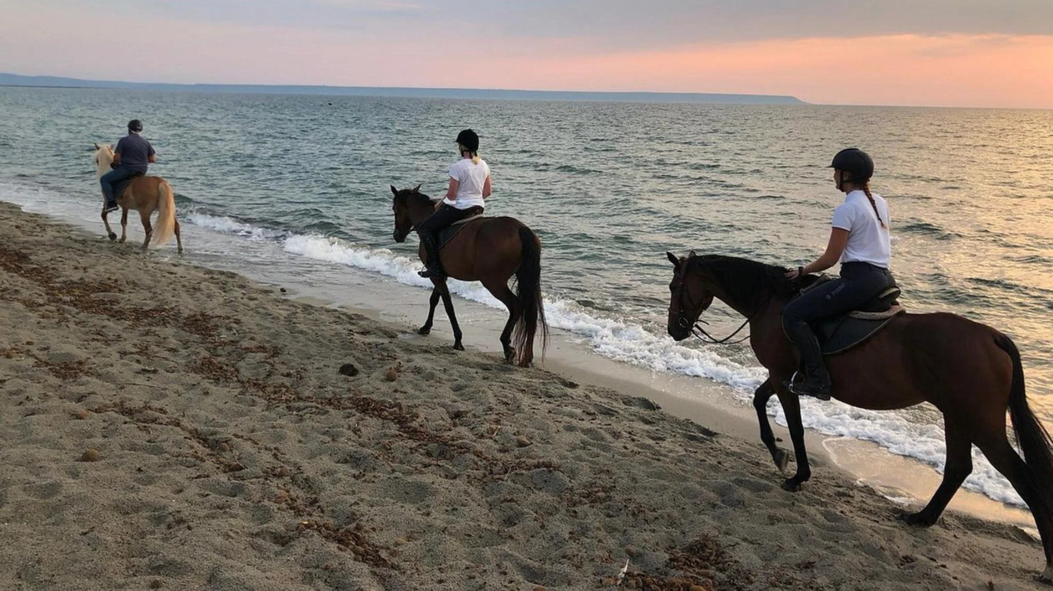 horse country resort ecocamp legambiente speciale equitazione
