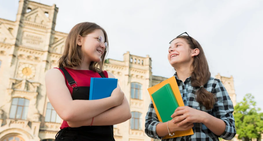 sistema scolastico in irlanda